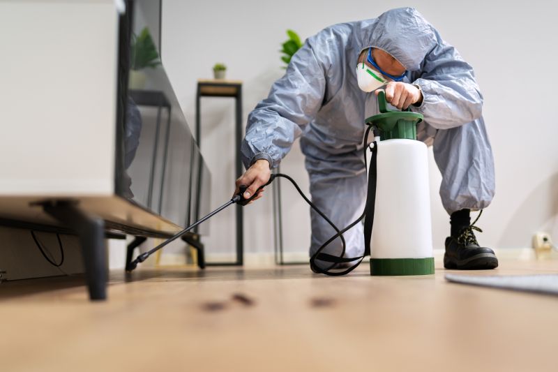 Rat Fumigation Service in Davis County, UT