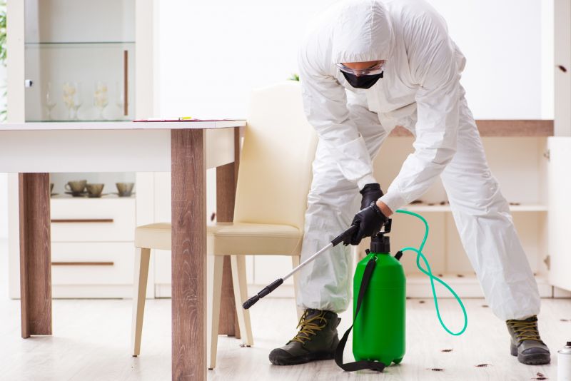 Home Pest Control Providers